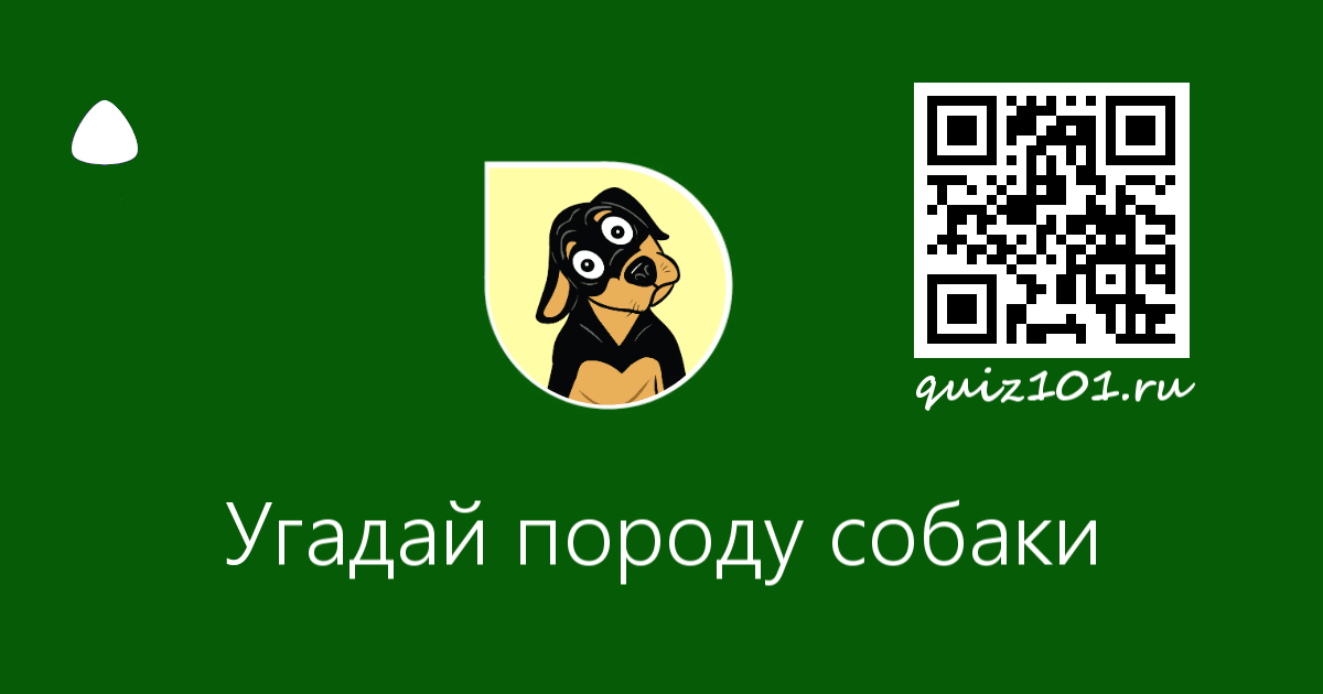 Поиграем в угадай породу собаки